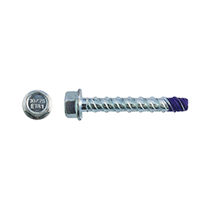 Blue-Tips Screwbolts Hex Head